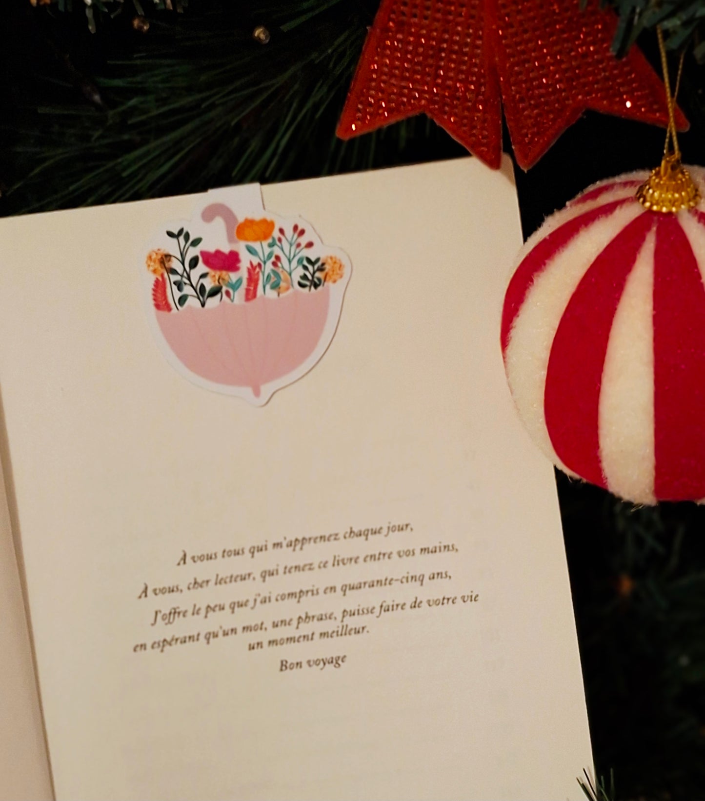 Maque-page magnétique