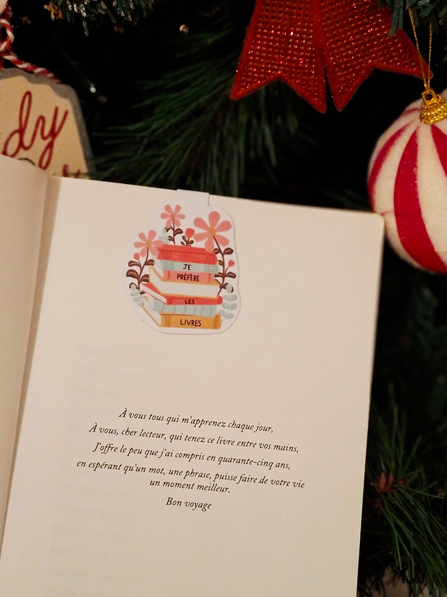 Marque-page magnétique