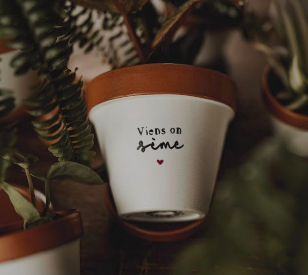 Pot de fleur, cache-pot "Viens on sème" ♡