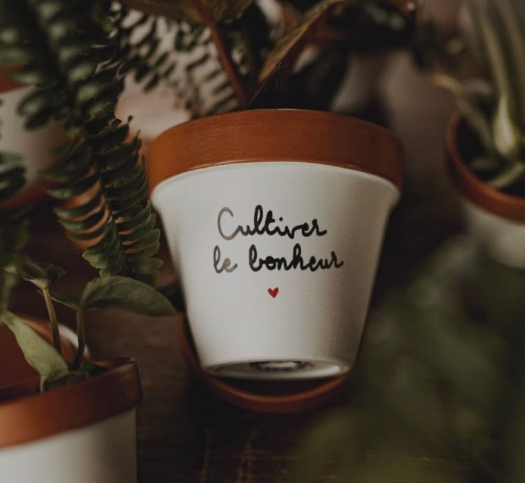 🌹Pot de fleur, cache-pot "Cultiver le bonheur" 11 cm + coupelle