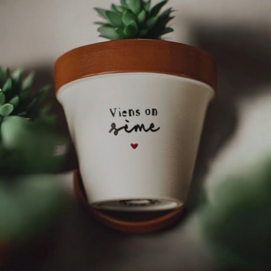 Pot de fleur, cache-pot "Viens on sème" ♡
