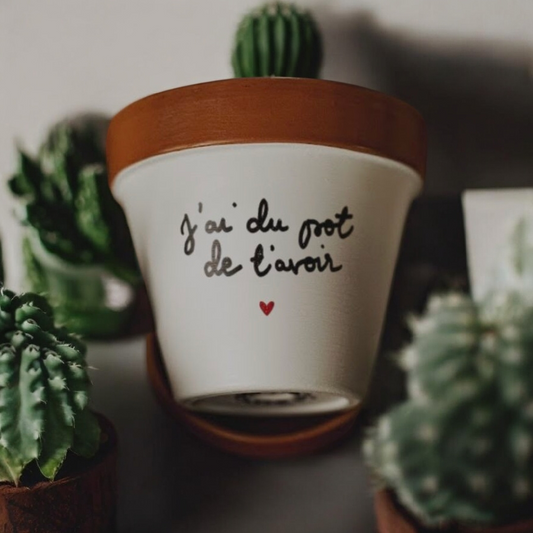 Pot de fleur, Cache-pot "J'ai du pot de t'avoir" 11cm + coupelle