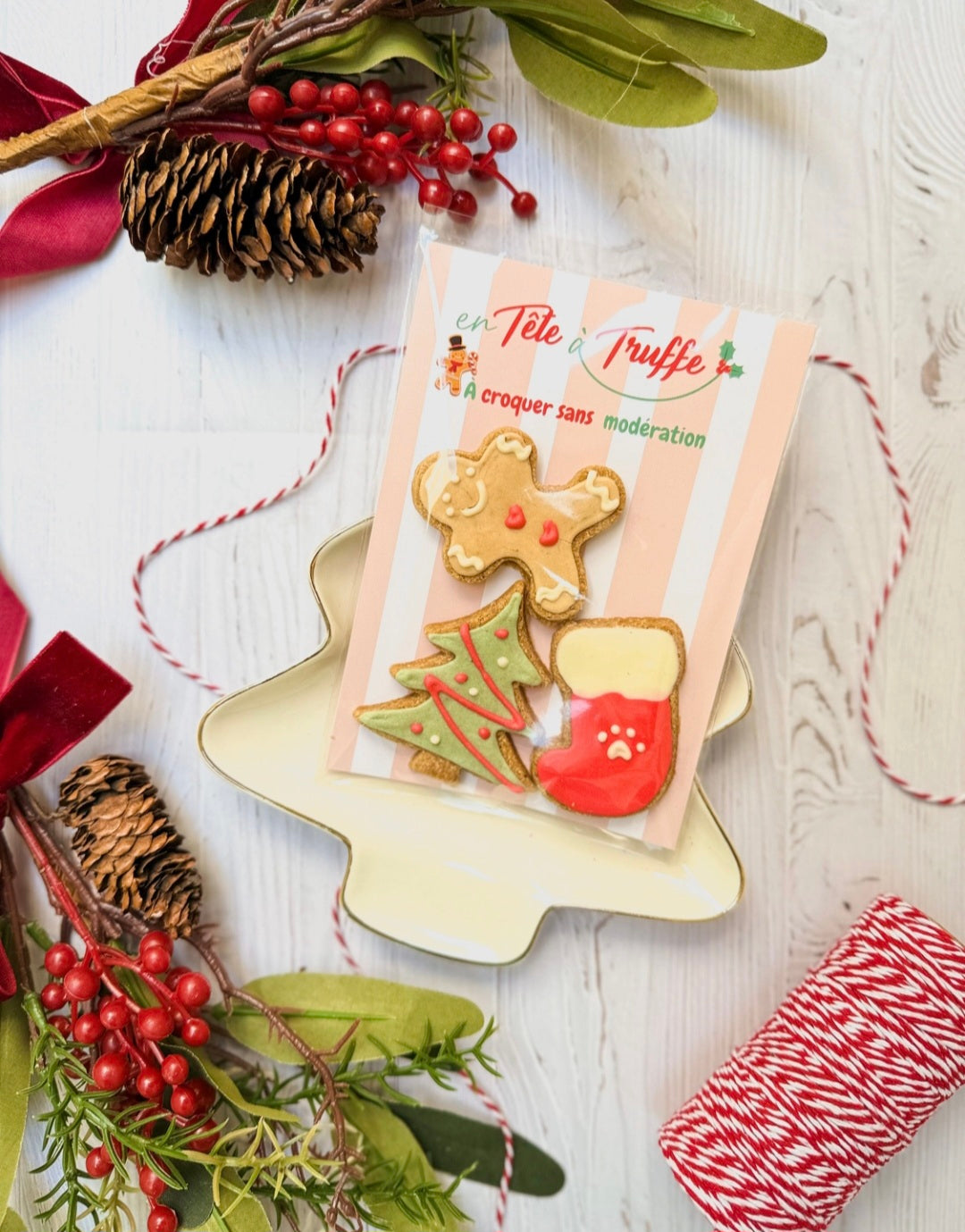 Sachet de biscuits de Noël pour Chiens