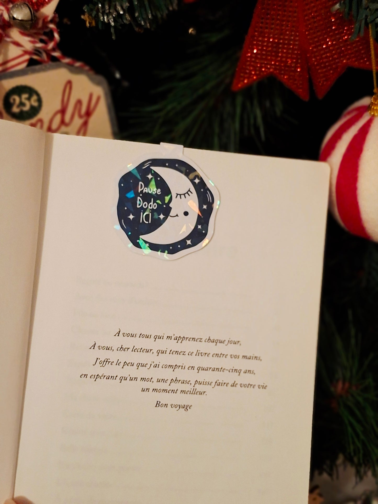 Marque-page magnétique