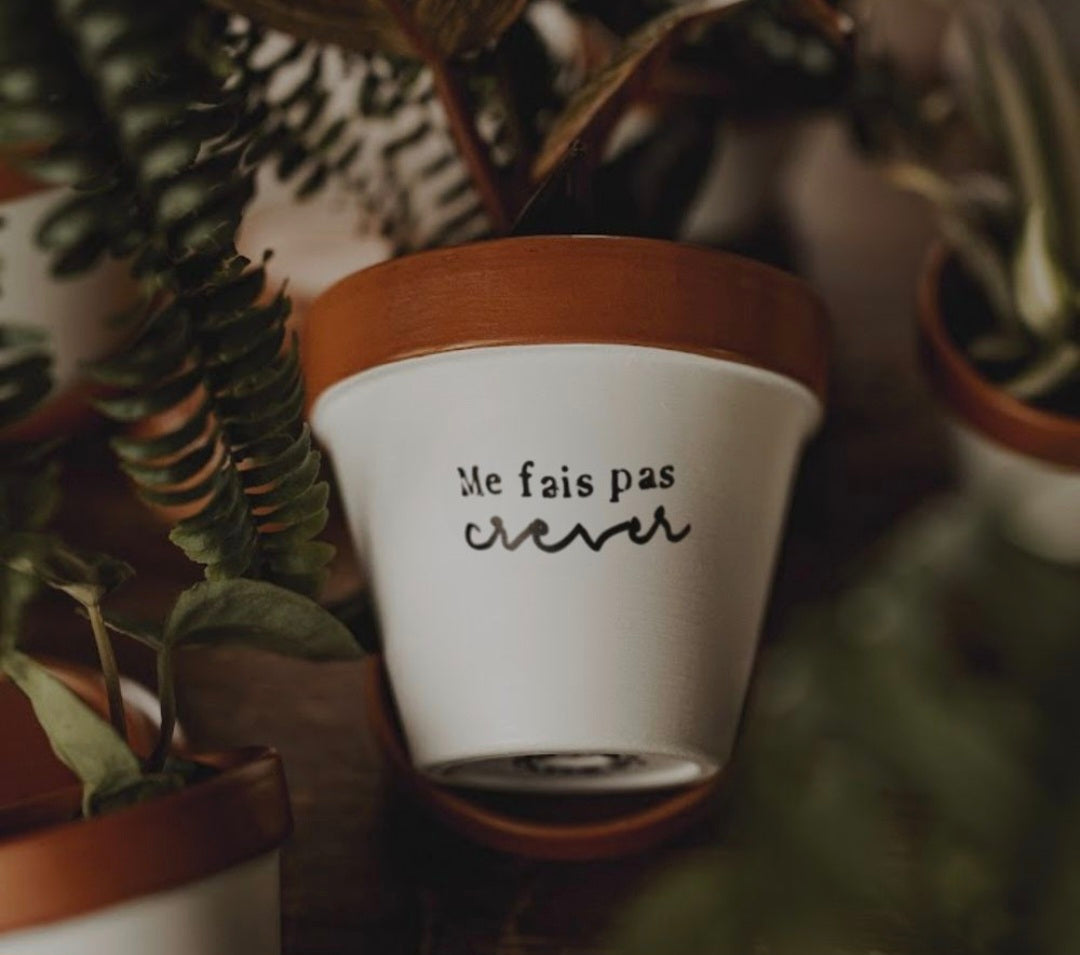 Pot de fleur, cache-pot "'Me fais pas crever" 11cm + coupelle