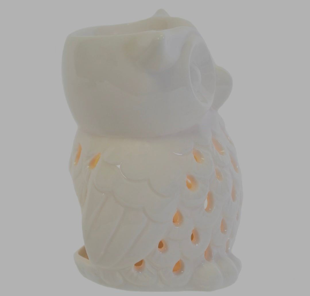 Brûle parfum "Hibou blanc"